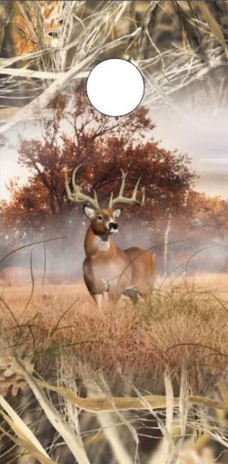 Deer buck tallgrass