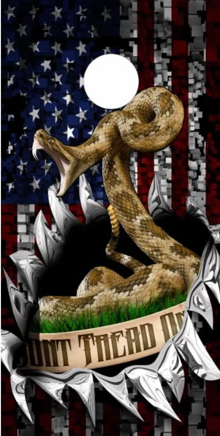 Don't Tread on me Flag RIP
